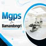 MGPS in Bamandongri